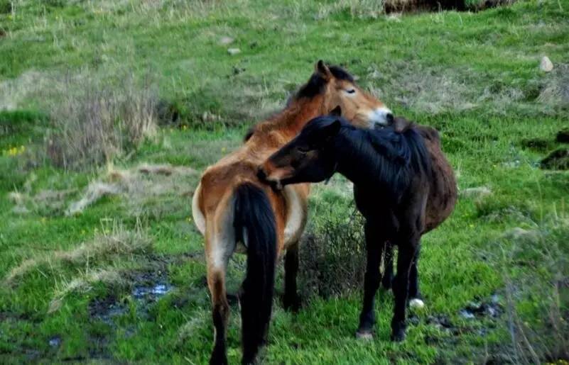 自驾攻略书,旅游攻略路书动态图