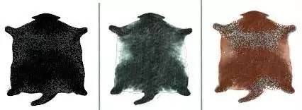 趣说猫历史|原来所有猫咪中性格最好的是你呀！