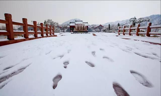 临沭高考2022试卷,临沭高考模拟考试