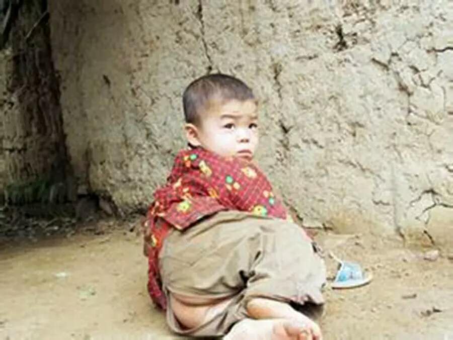 月白月明：满仓和他的女人