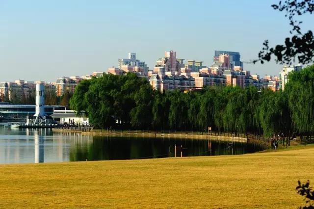 上海地铁沿线好玩的地方,上海18号线沿线景点