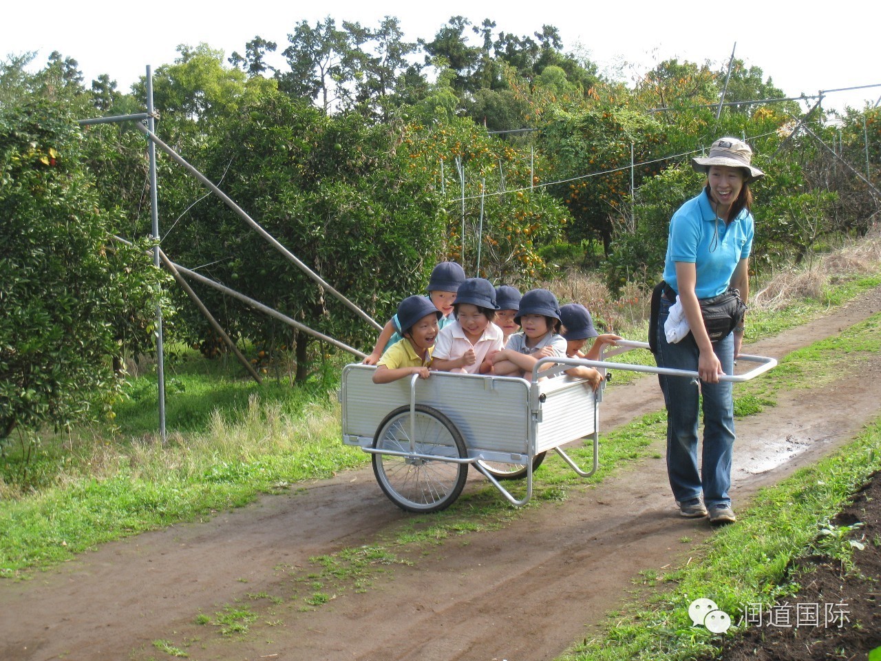 风之谷幼儿园教育特色,风之谷幼儿园青海