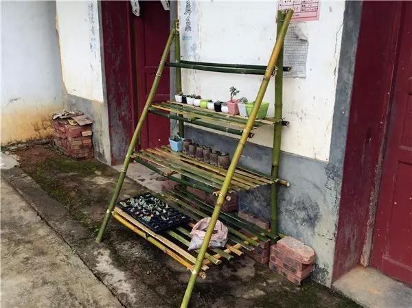 自制月季花架竹子,竹子自制拱门花架教程