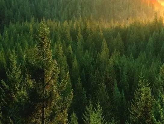 福建省农业龙头企业名单,福建一批标杆企业名单