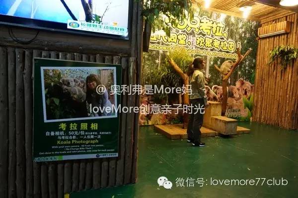 广州旅游攻略长隆野生动物园,广州长隆野生动物园自由行攻略