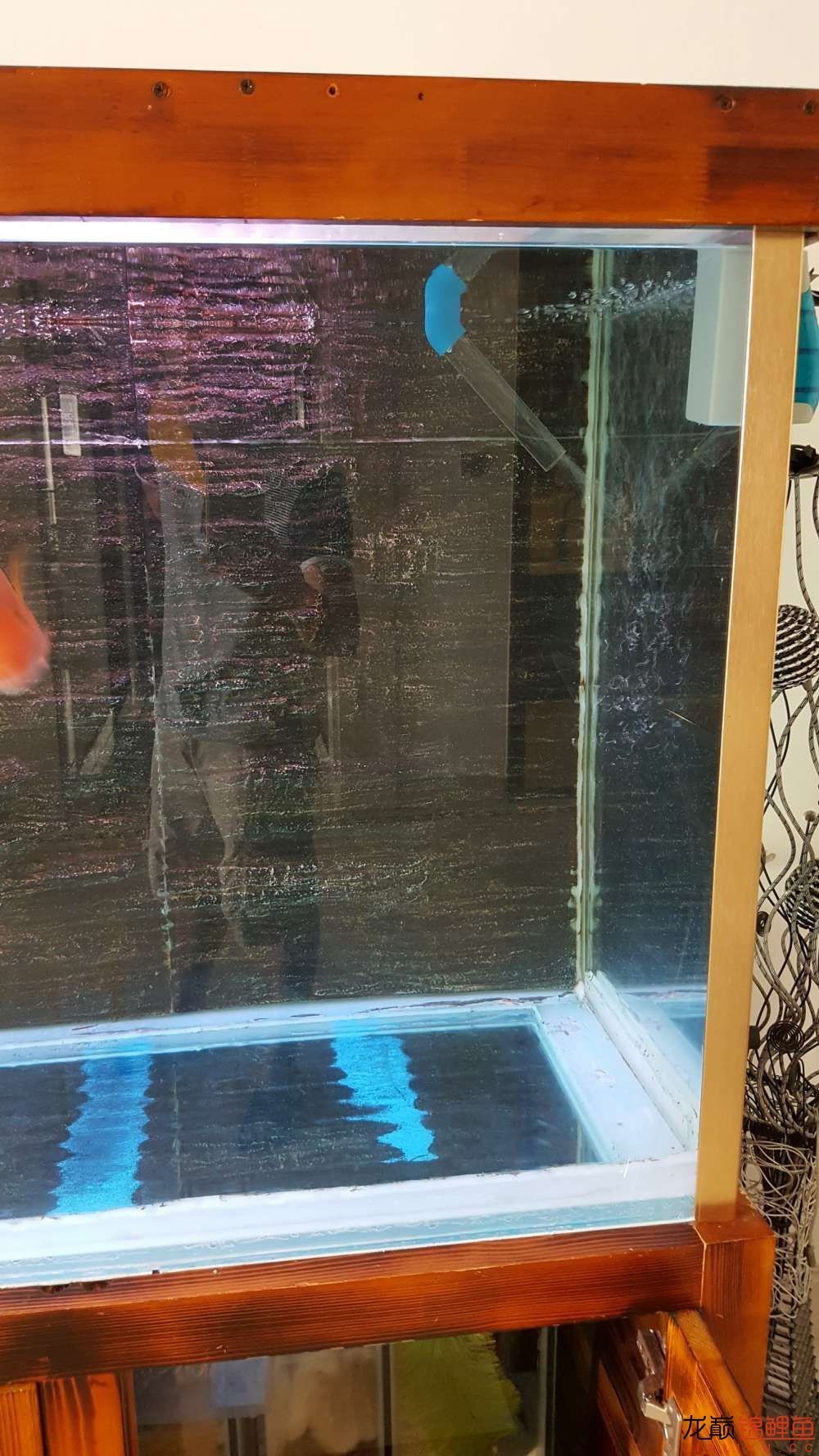 子母生态缸丨庭院深，深，深几许？