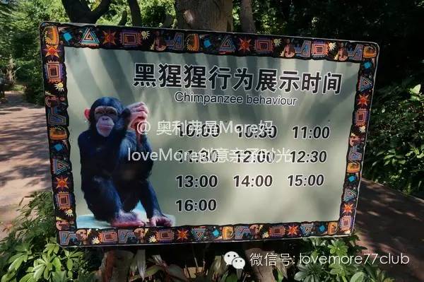 广州旅游攻略长隆野生动物园,广州长隆野生动物园自由行攻略