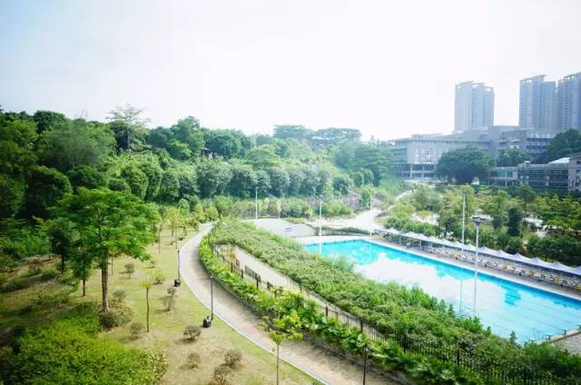 广东15所野鸡大学名单曝光,广东的野鸡大学有哪些