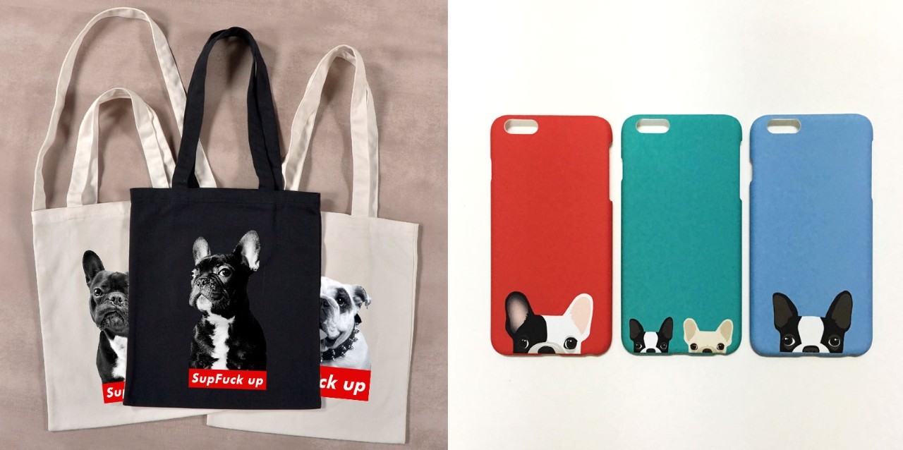 厉害的狗和狮子pk哪个更强,趣说动物小狗