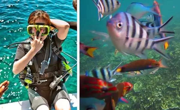 只需5K！去沙巴邂逅小丑鱼、萤火虫之舞和从不设防的微笑！