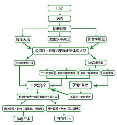 专家讲解脑垂体,专家说动脉瘤