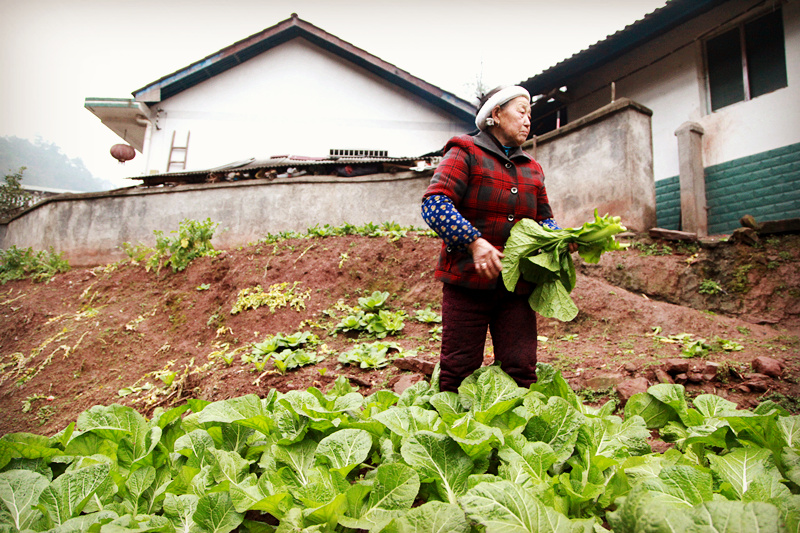 山巅教学点：一对父子60载坚守