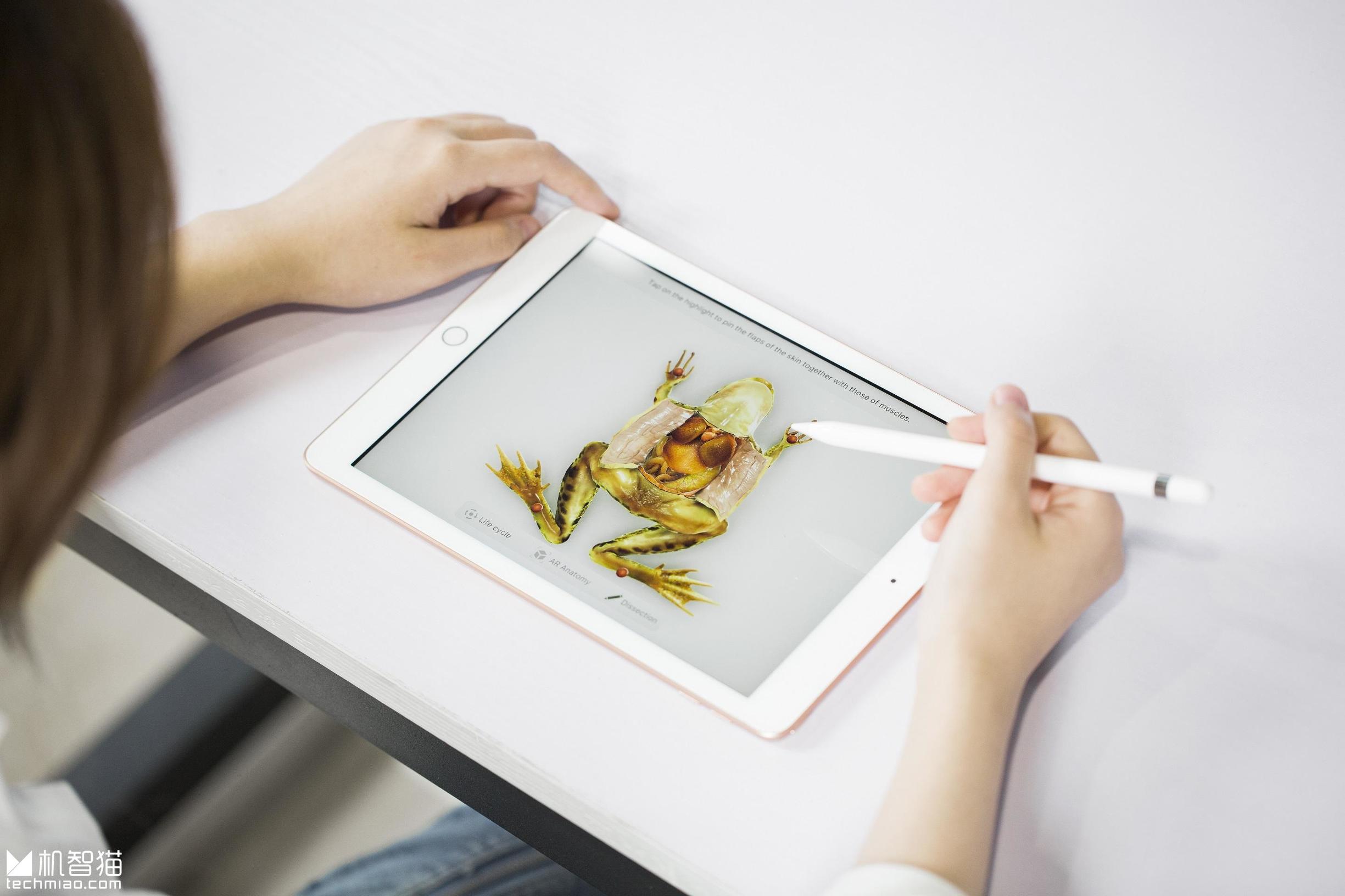 9.7寸ipad有什么款,9.7英寸ipad有几款