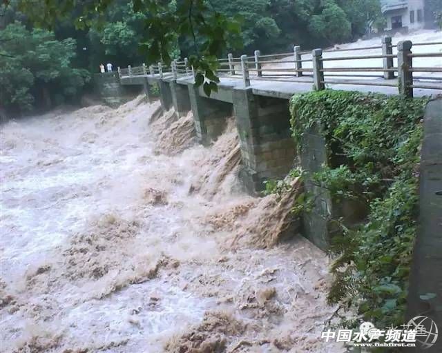 养殖池塘水体浑浊会导致缺氧吗,养殖池塘缺氧有哪几种原因