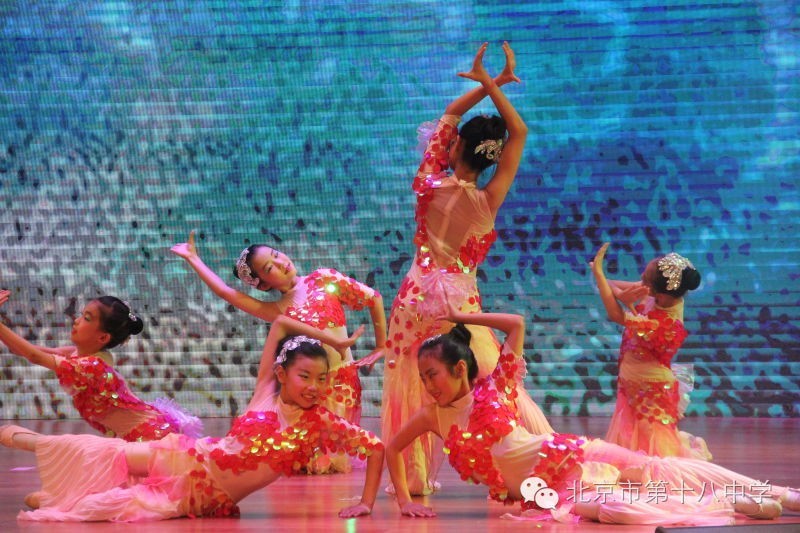 校园六一晚会舞蹈中学,北京市第十八中学舞蹈团
