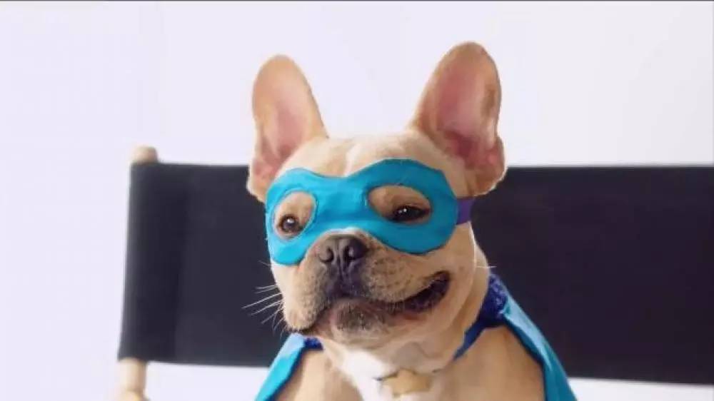 夏天来了身上脸上痘痘越来越多,夏天爱长痘痘怎么回事