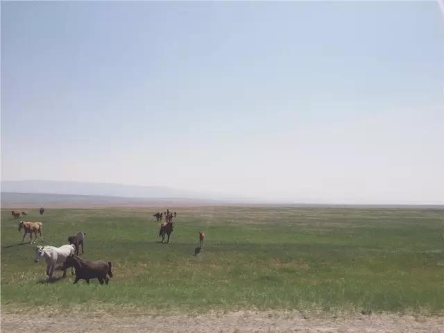 成都出发到贝加尔湖,我在贝加尔湖