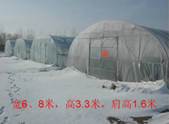 葡萄大棚材料哪里有,葡萄大棚都有什么配件