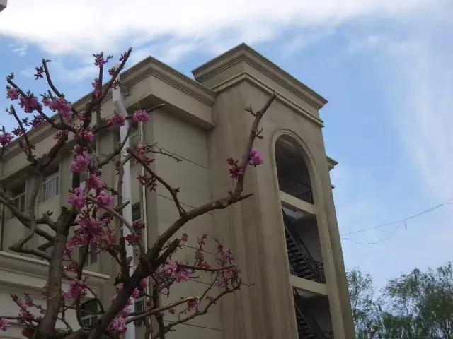 怎样才能就读太原五中,太原五中最好的学习方法