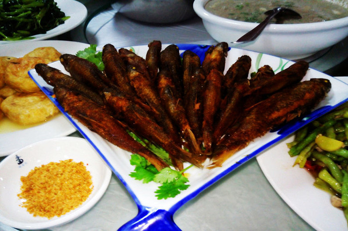 巴马世界旅居圣地,广西巴马长寿圣殿图片