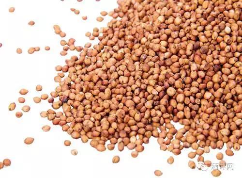 决定啤酒口感的因素,好酒的几个特点