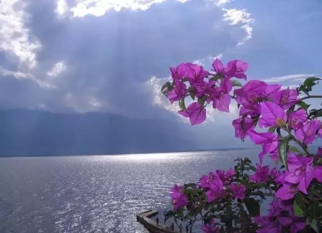 海口一座不需要滤镜的城市,海口一线海景