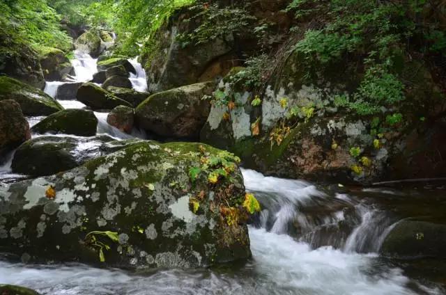 开业预售门票漂流,丹东漂流几月份开