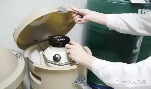 全民参与上亿的项目，捐精购房置地，网友们跃跃欲试！