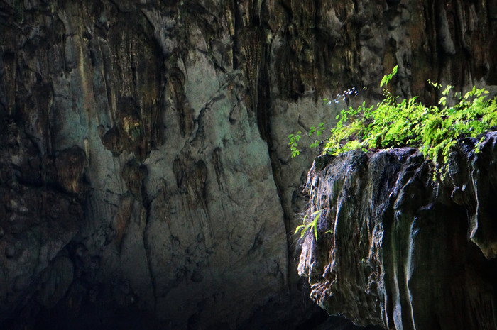 巴马世界旅居圣地,广西巴马长寿圣殿图片