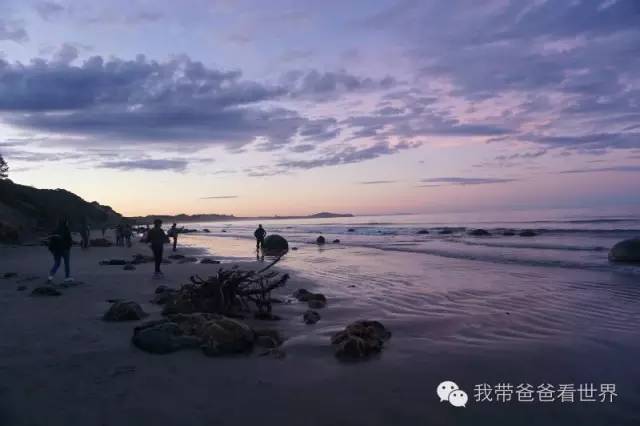 新西兰拉基圆石,摩拉基大圆石早上可以看得见吗