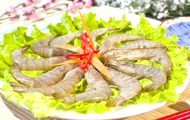 吃货吃虾就要吃最正宗的,关于虾有哪些好吃的小零食