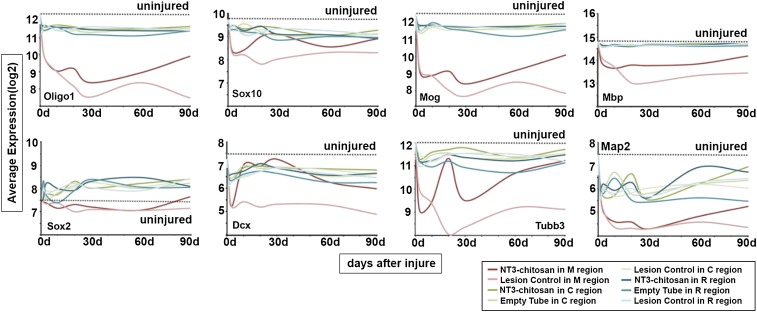 神经再生研究新突破,神经再生研究成果视频