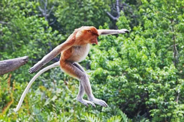 有生之年一定要去一次泰国,有生之年一定要去一次的景区