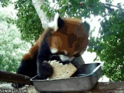 泡面和螺蛳粉怎么选比较好,螺蛳粉pk泡面