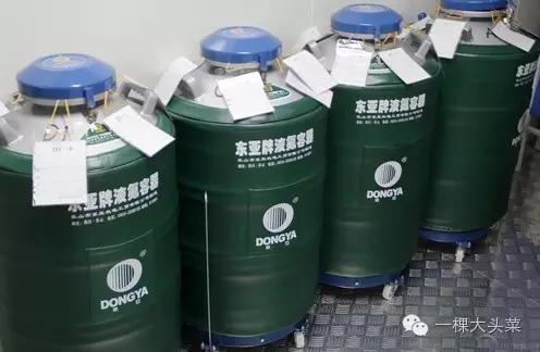 全民参与上亿的项目，捐精购房置地，网友们跃跃欲试！