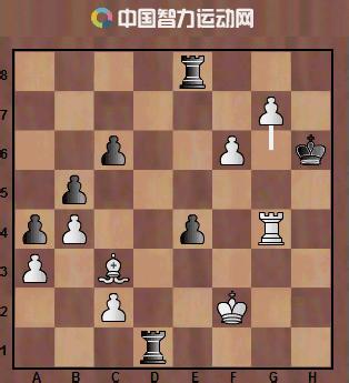 深蓝击败国际象棋高手卡斯帕罗夫,电脑深蓝打败国际象棋大师