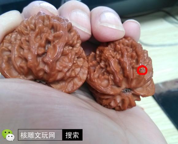 核桃有一个特别小的虫眼怎么办,核桃坏了怎么修补