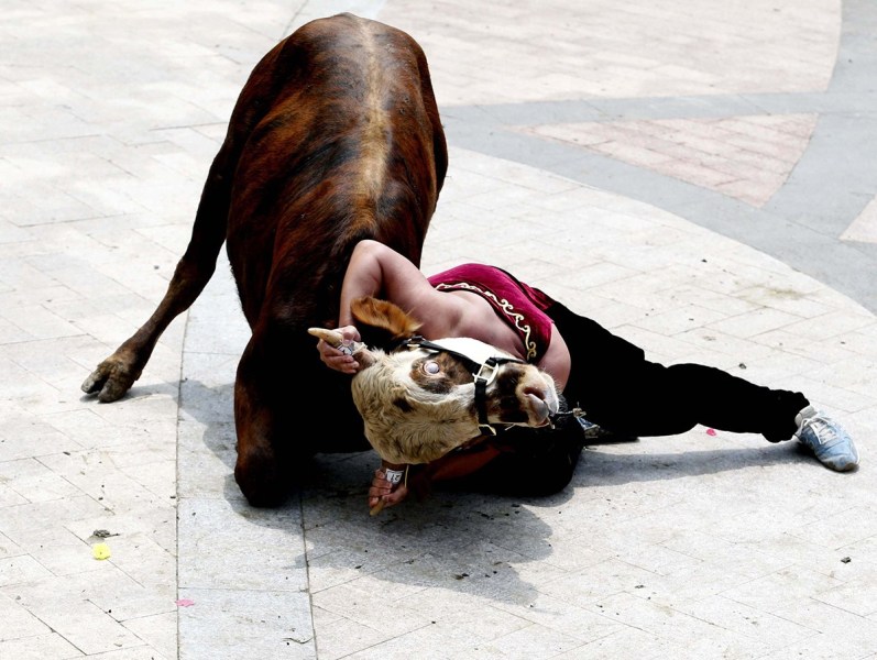 从“狗肉节”到非遗，有关动物使用的伦理困境比比皆是！