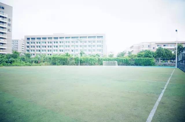 广东15所野鸡大学名单曝光,广东的野鸡大学有哪些