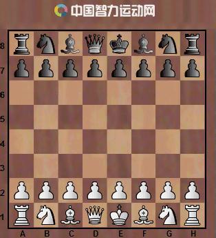 深蓝击败国际象棋高手卡斯帕罗夫,电脑深蓝打败国际象棋大师