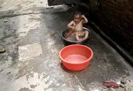 各版本凌波微步,凌波微步原来这么厉害