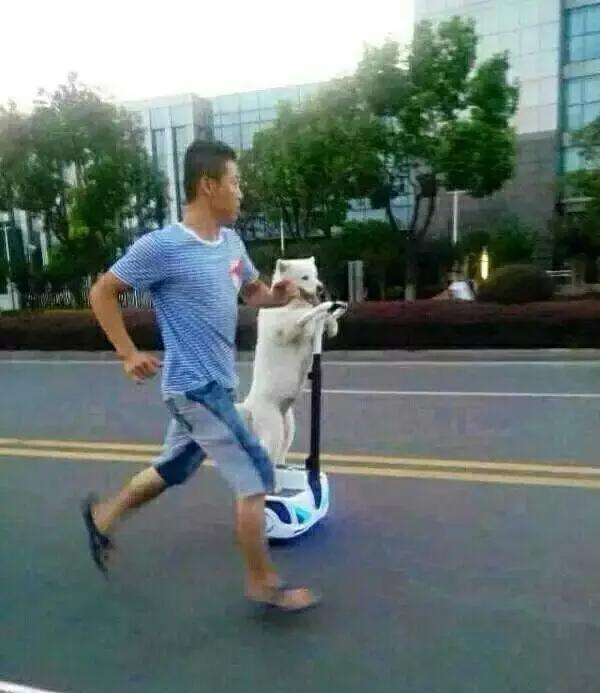 汝非瓜，焉知瓜之不应乎？