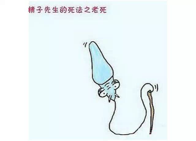 休闲｜爸爸的精子！备孕中的悲欢离合