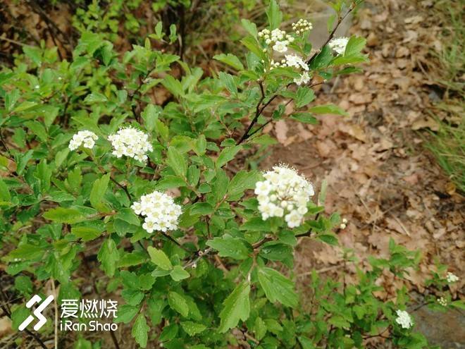 第一次跑完五公里,第一次跑5公里比赛