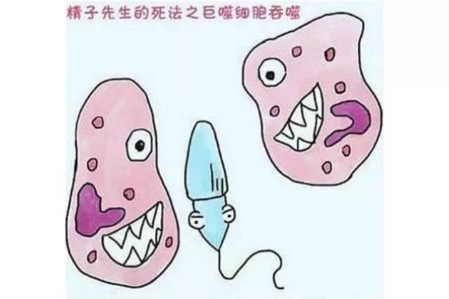 休闲｜爸爸的精子！备孕中的悲欢离合