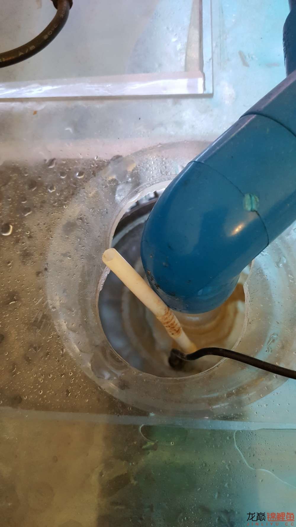 子母生态缸丨庭院深，深，深几许？