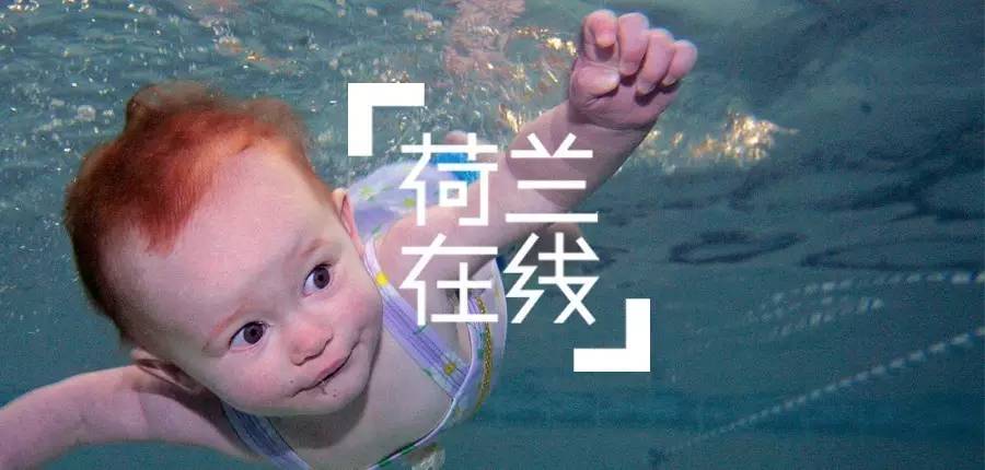 中国父母为什么喜欢这个牌子的荷兰奶粉？