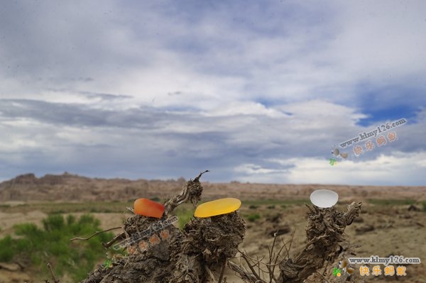 斑彩石是宝石吗,斑彩石宝石家族