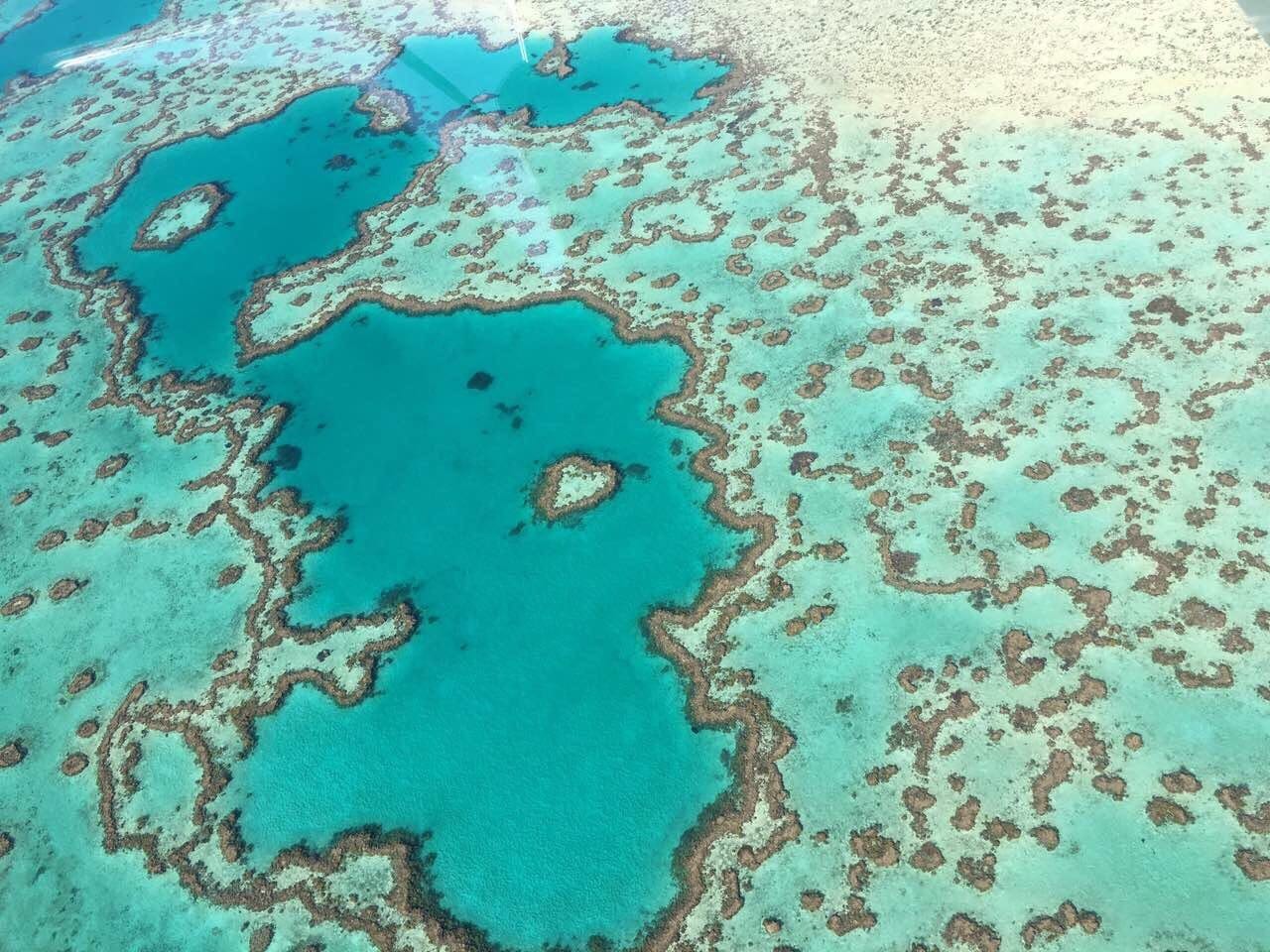 小财的直播间,小财直播录屏