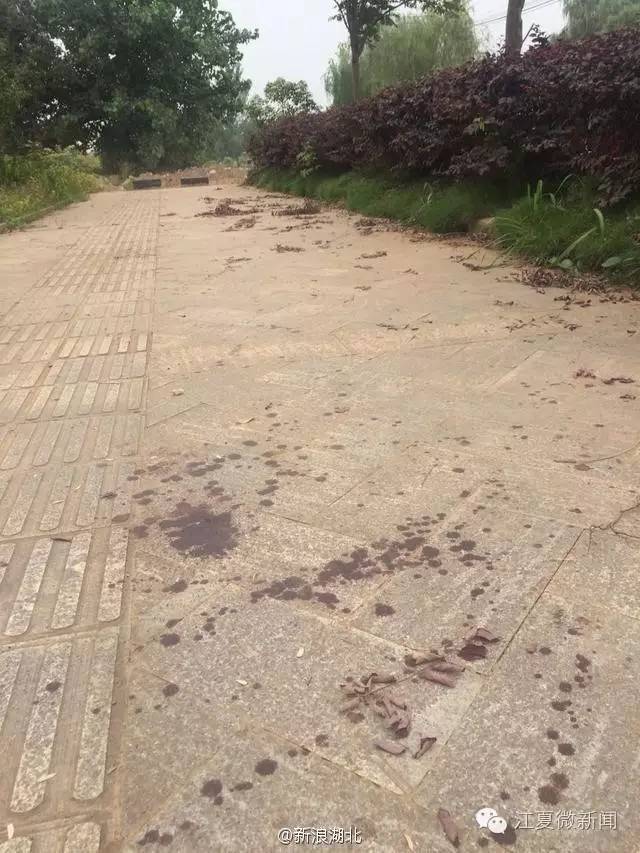 女子被塞进后备箱后续,女子遭男子强塞后备箱